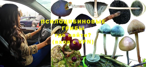 Альфа ПВП Богородицк