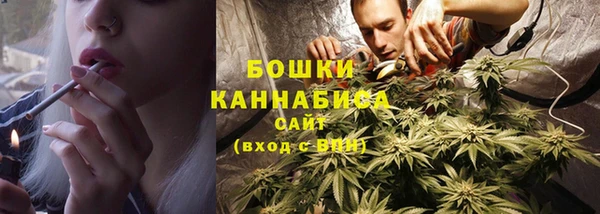 Альфа ПВП Богородицк