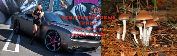 мдма Богородск