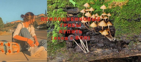 Альфа ПВП Богородицк