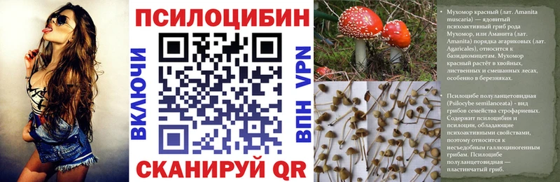 Псилоцибиновые грибы Magic Shrooms  кракен ссылки  Верхний Уфалей  купить  