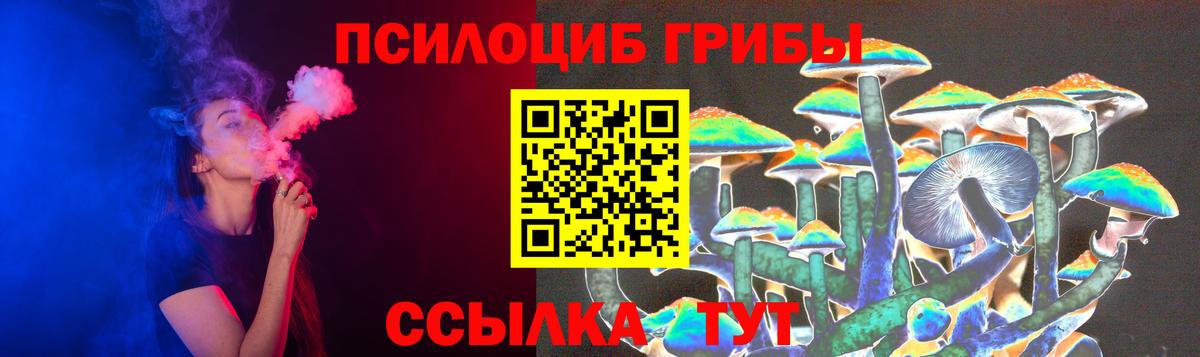 Галлюциногенные грибы Psilocybine cubensis  Вход с VPN  Верхний Уфалей 
